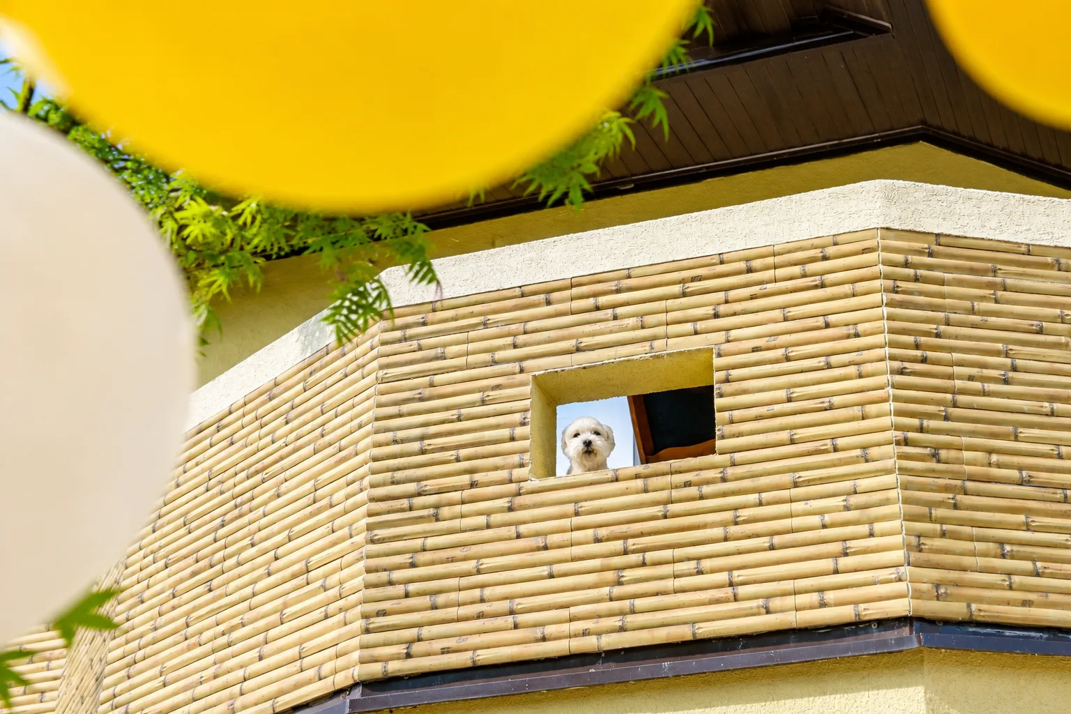 Vjenčanje Majre i Hamze - fotografija 29